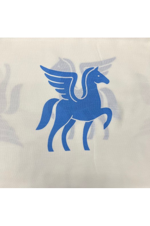 PAREO GMA PEGASUS